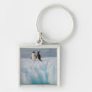 Search for antarctic penguin key rings Ice