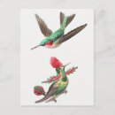 Search for rare postcards Cute