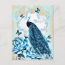 Search for elegant peacock postcards Girly