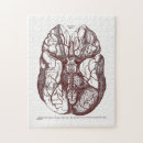 Search for anatomy puzzles Medical