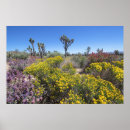 Search for mojave art Cactus