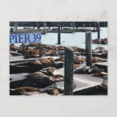 Search for sealion postcards Sea lions