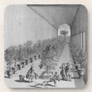 Search for 17th barware School