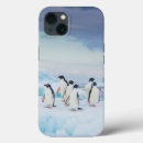 Search for gentoo iphone cases Antarctica