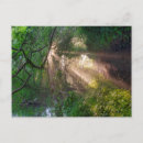 Search for light rays cards invites Woods