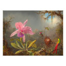 Search for cattleya orchids art Hummingbirds