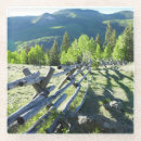 Search for wooden coasters Weathered