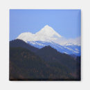 Search for shasta magnets Sky