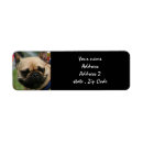 Search for postcard return address labels French