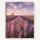 Search for graph photography Beauty