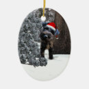 Search for miniature schnauzer dog christmas tree decorations Animal