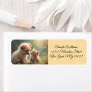 Search for cute kitten return address labels Pet