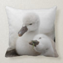 Search for swan cushions Outdoors