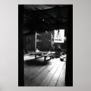 Search for black white cat posters Travel