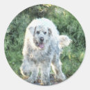 Search for big dog stickers Pooch