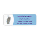 Search for manatee labels Dugong