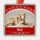 Search for pet memorials Deceased