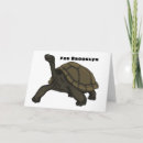 Search for galapagos cards Giant tortoise