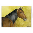Search for steed Pet