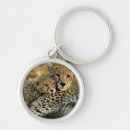 Search for cheetah cub key rings Baby animals