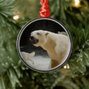 Search for polar christmas tree decorations Wildlife