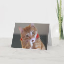 Search for orange tabby cat christmas cards Funny