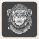 Search for chimp monkey coasters Cute