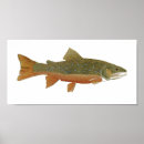 Search for brook trout art Nature