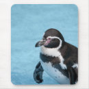 Search for penguin mousepads Wild