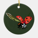 Search for ladybird christmas tree decorations nature