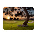 Search for courses magnets California