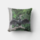 Search for anhinga Florida