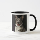 Search for white shepherd mugs Animal