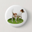 Search for alertness badges Dog