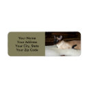 Search for siamese return address labels Seal point