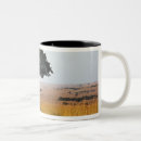Search for acacia mugs Adam jones