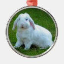 Search for lop rabbit christmas tree decorations Bunnies