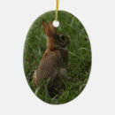 Search for easter christmas tree decorations Animal