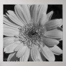 Search for greyscale posters White