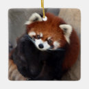 Search for mammal christmas tree decorations Panda