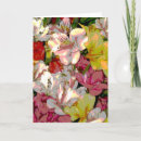 Search for multicolor photography Floral