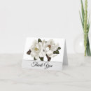 Search for magnolia cards Ivory