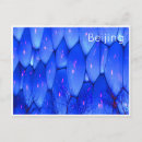 Search for water bubble postcards Bubbles