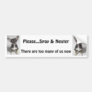 Search for neutering bumper stickers Dog