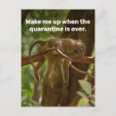 Search for quarantine postcards Pandemic