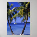 Search for negril posters Palm tree