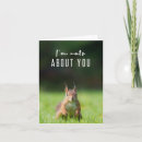 Search for nuts about you cards Funny