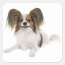 Search for papillon stickers Dog
