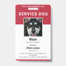 Search for servicing Service dog