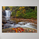 Search for national forest posters Waterfall